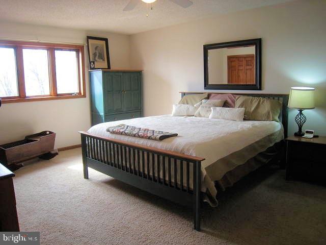 5296 Ridge Road Elizabethtown, PA 17022 - Photo 19 of 25 Gallery Image 19