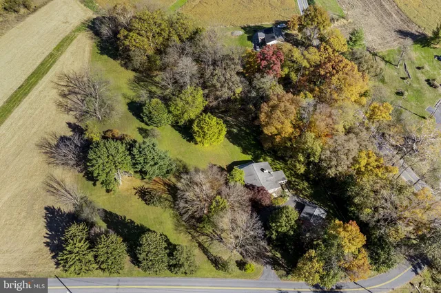 a view of a big yard with plants and large trees