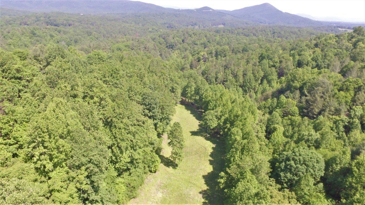 6875 Hofawger Road Boones Mill, VA 24065 - Photo 1 of 17 1
