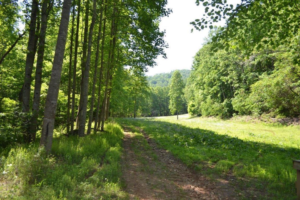 6875 Hofawger Road Boones Mill, VA 24065 - Photo 11 of 17 11