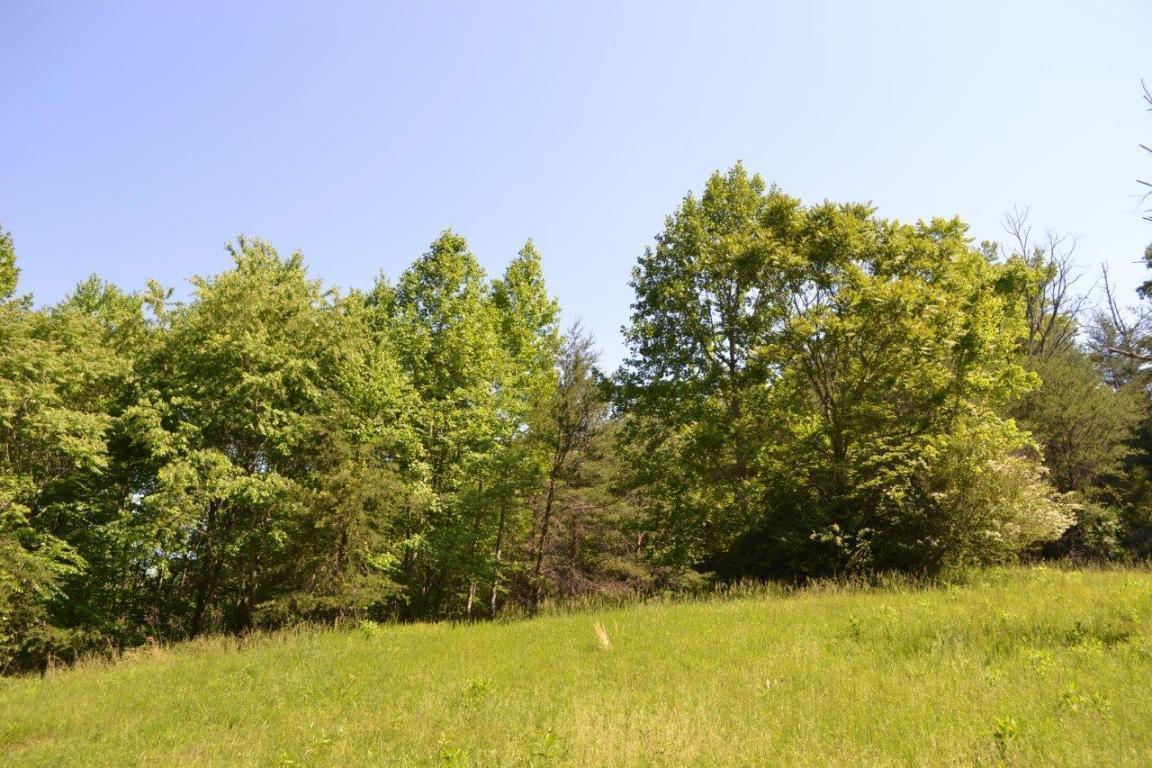 6875 Hofawger Road Boones Mill, VA 24065 - Photo 8 of 17 8