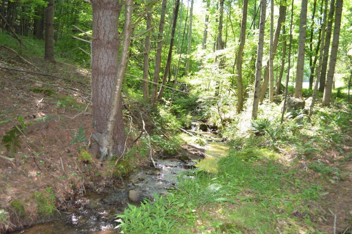 6875 Hofawger Road Boones Mill, VA 24065 - Photo 9 of 17 9