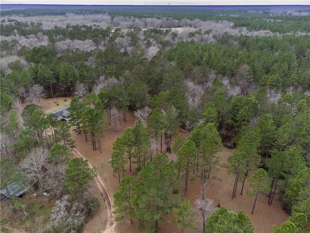 67393 Hickory Point Road Kentwood, LA 70444 - Photo 11 of 22 Gallery Image 11