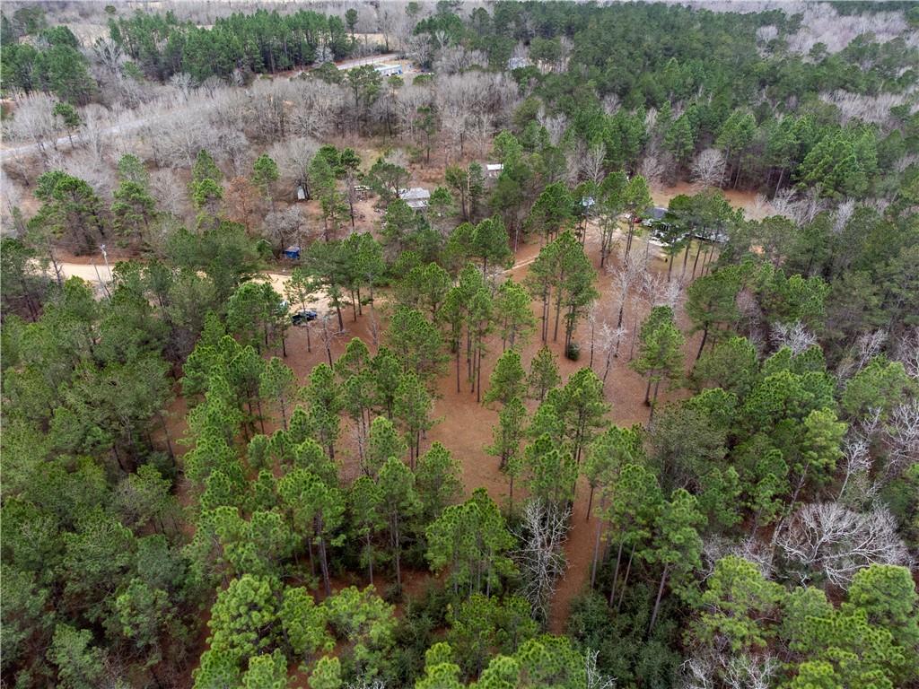 67393 Hickory Point Road Kentwood, LA 70444 - Photo 12 of 22 Gallery Image 12