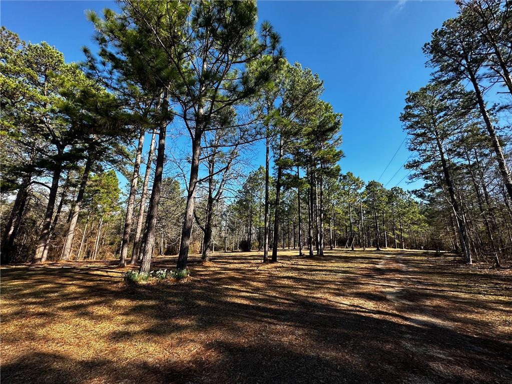 67393 Hickory Point Road Kentwood, LA 70444 - Photo 2 of 22 Gallery Image 2