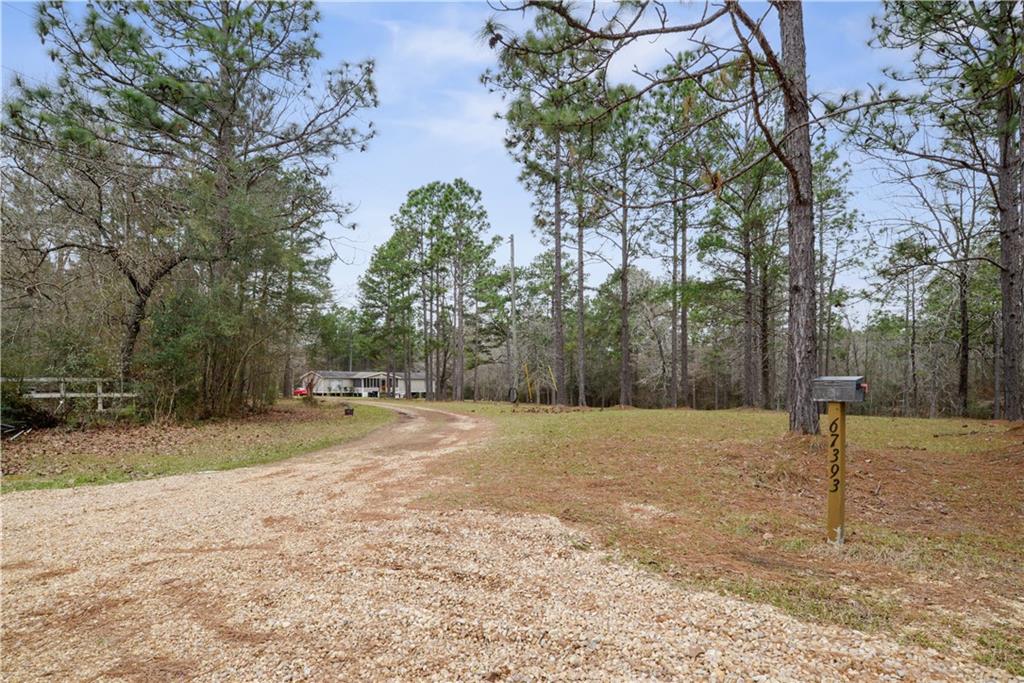 67393 Hickory Point Road Kentwood, LA 70444 - Photo 4 of 22 Gallery Image 4