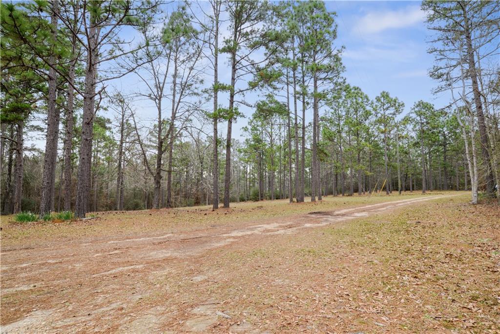 67393 Hickory Point Road Kentwood, LA 70444 - Photo 7 of 22 Gallery Image 7