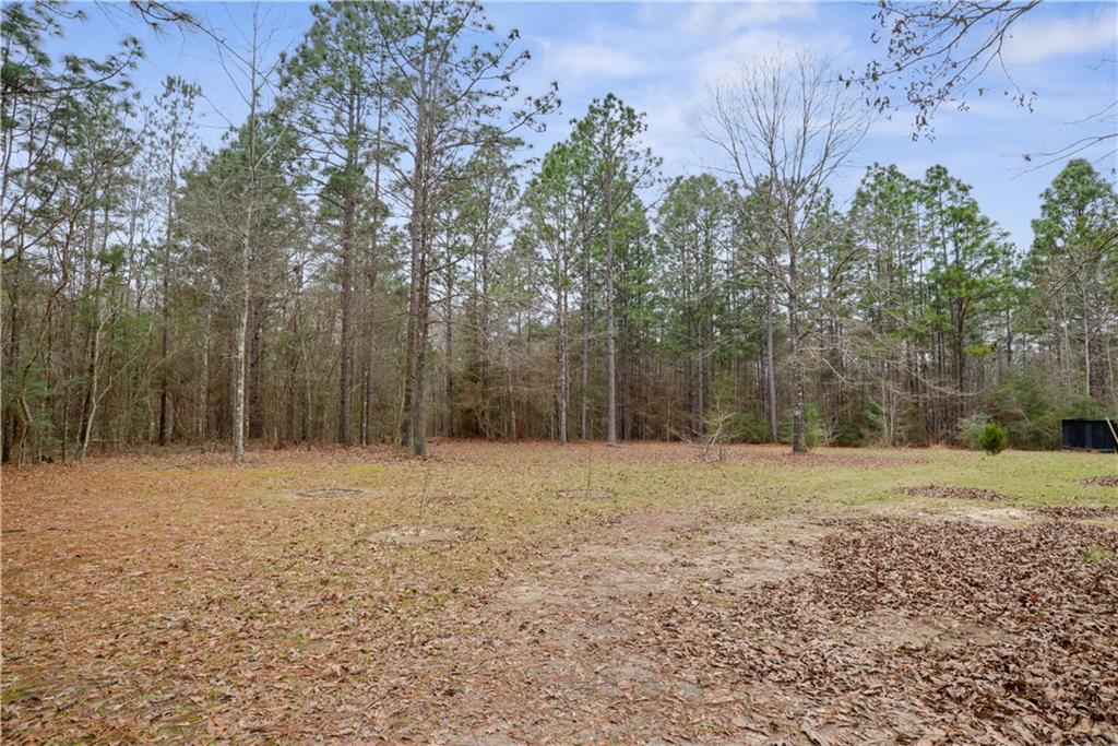 67393 Hickory Point Road Kentwood, LA 70444 - Photo 8 of 22 Gallery Image 8