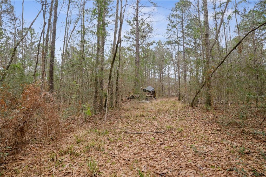 67393 Hickory Point Road Kentwood, LA 70444 - Photo 10 of 22 Gallery Image 10
