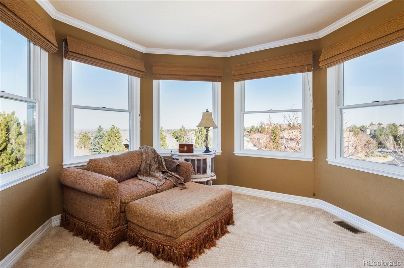 943 Rutherford Way Highlands Ranch, CO 80126 - Photo 17 of 40 Gallery Image 17