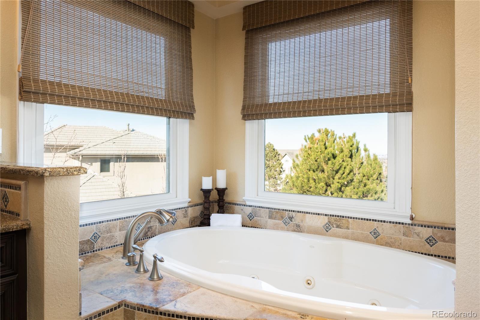 943 Rutherford Way Highlands Ranch, CO 80126 - Photo 21 of 40 Gallery Image 21
