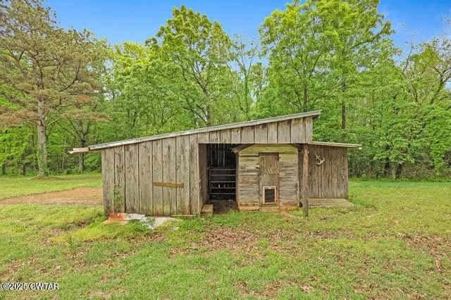 a view of a bunch of trees and bushes