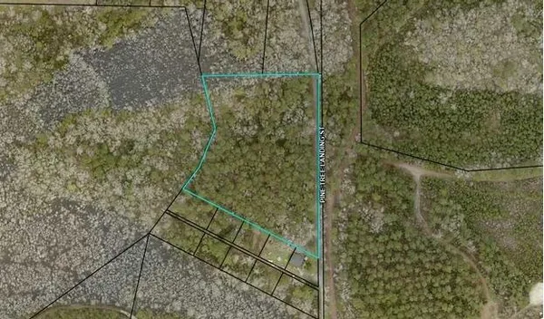 $60,000 | 0 Pine Tree Landing Road, Andrews, SC 29510