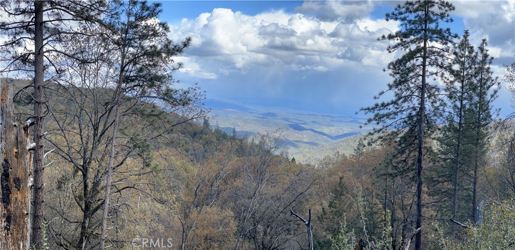 11256 Loch Lomond Road Middletown, CA 95461 - Photo 4 of 5 a view of a yard