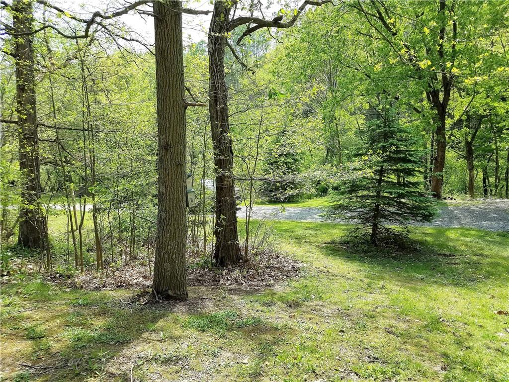 163 Fox Road Apollo, PA 15613 - Photo 23 of 24 Gallery Image 23