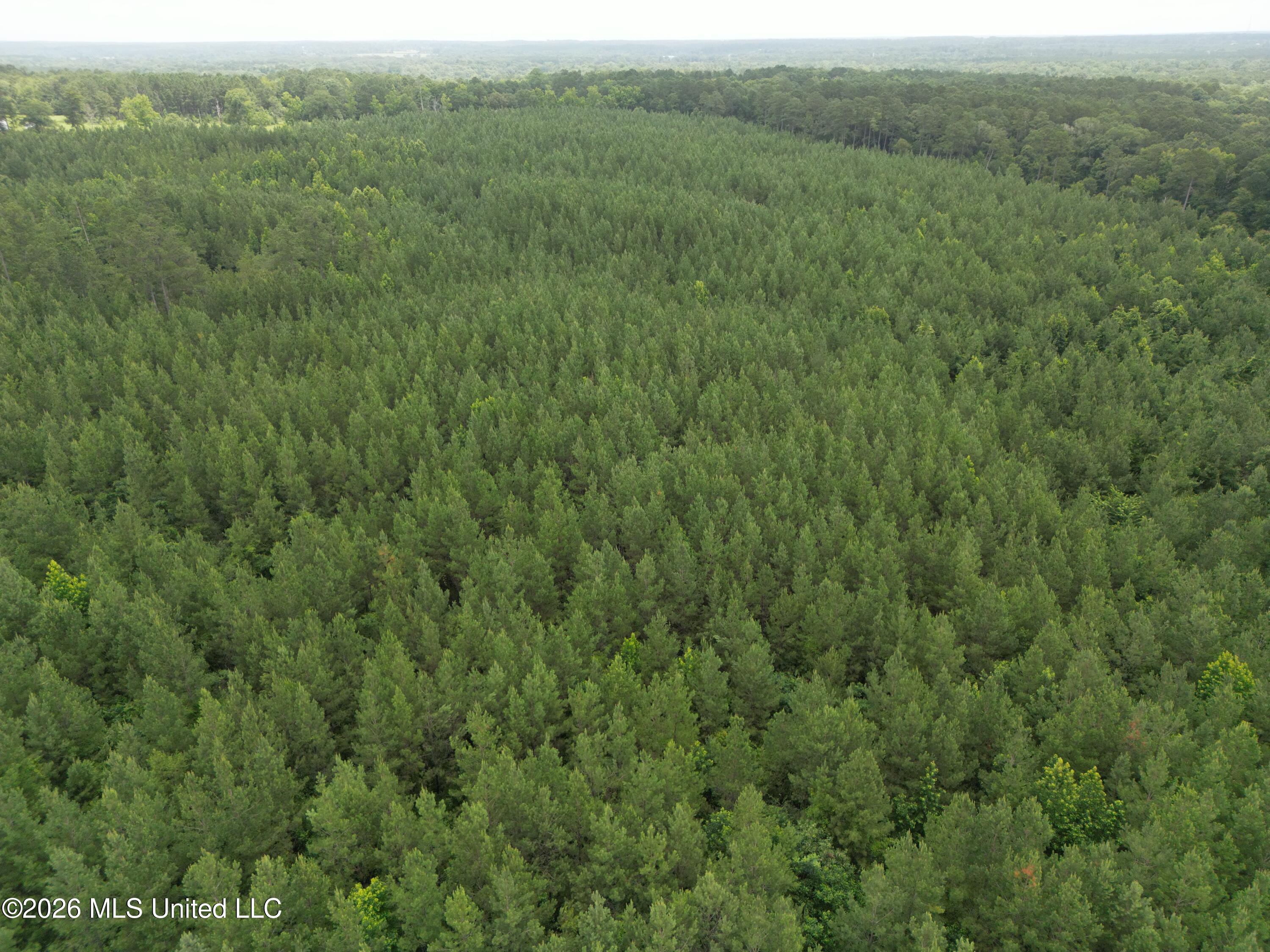 Summit Holmesville Road McComb, MS 39648 - Photo 22 of 29 DJI_0630