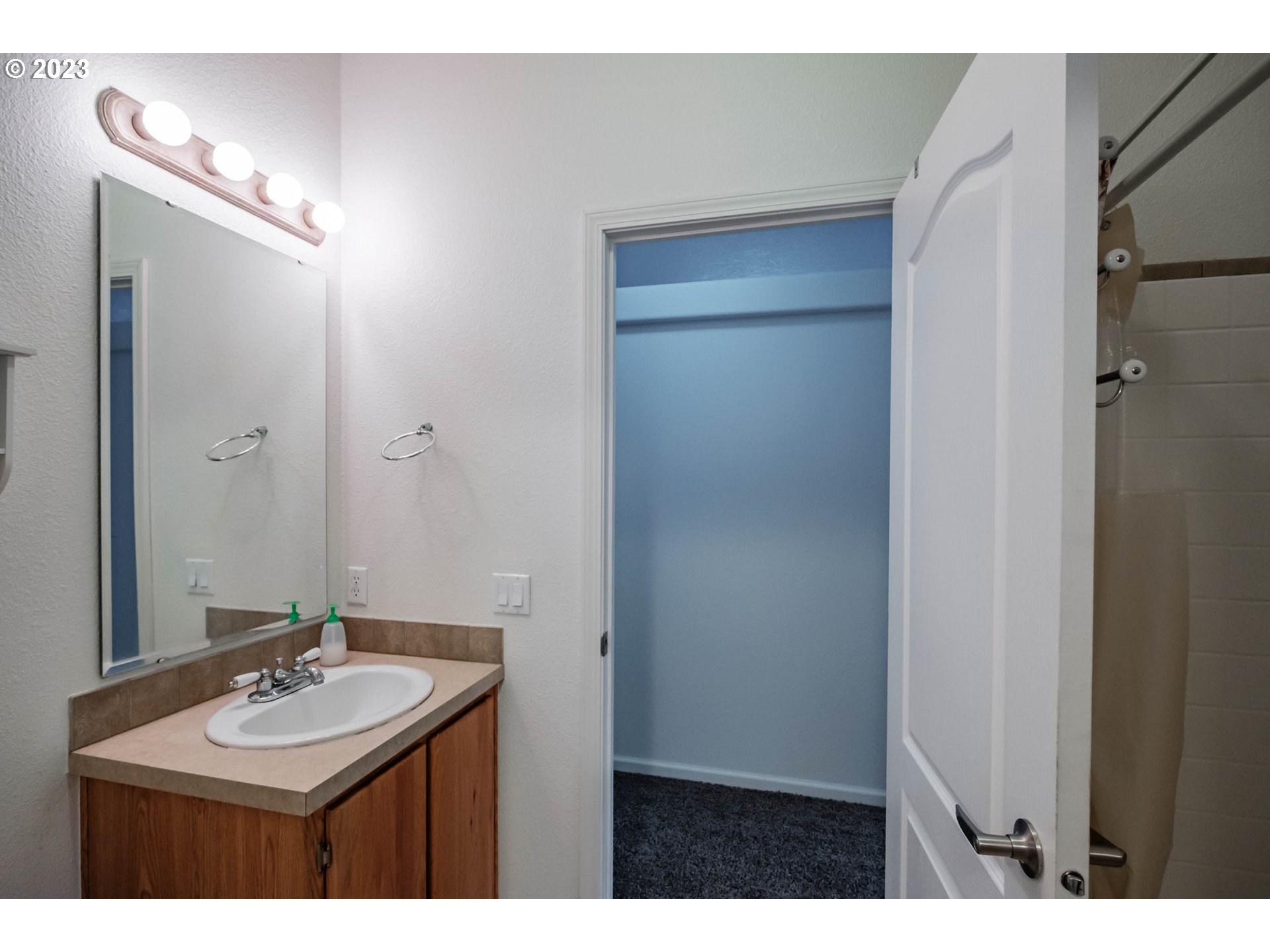 2434 Maia Loop Springfield, OR 97477 - Photo 14 of 36 a bathroom with a sink and a mirror