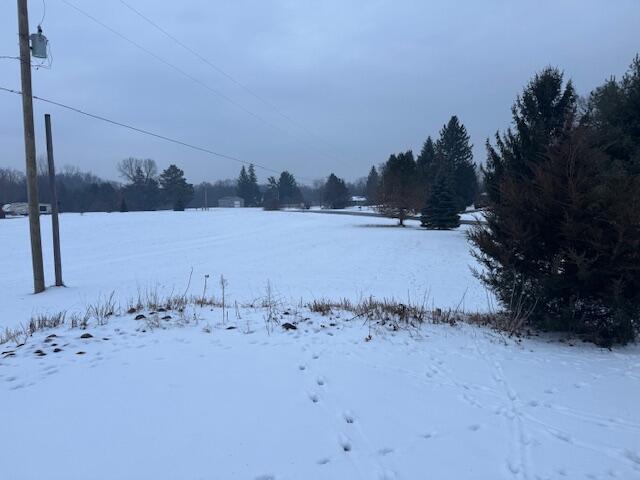 11890 Phal Road Grass Lake, MI 49240 - Photo 28 of 30 IMG_1707 (1)