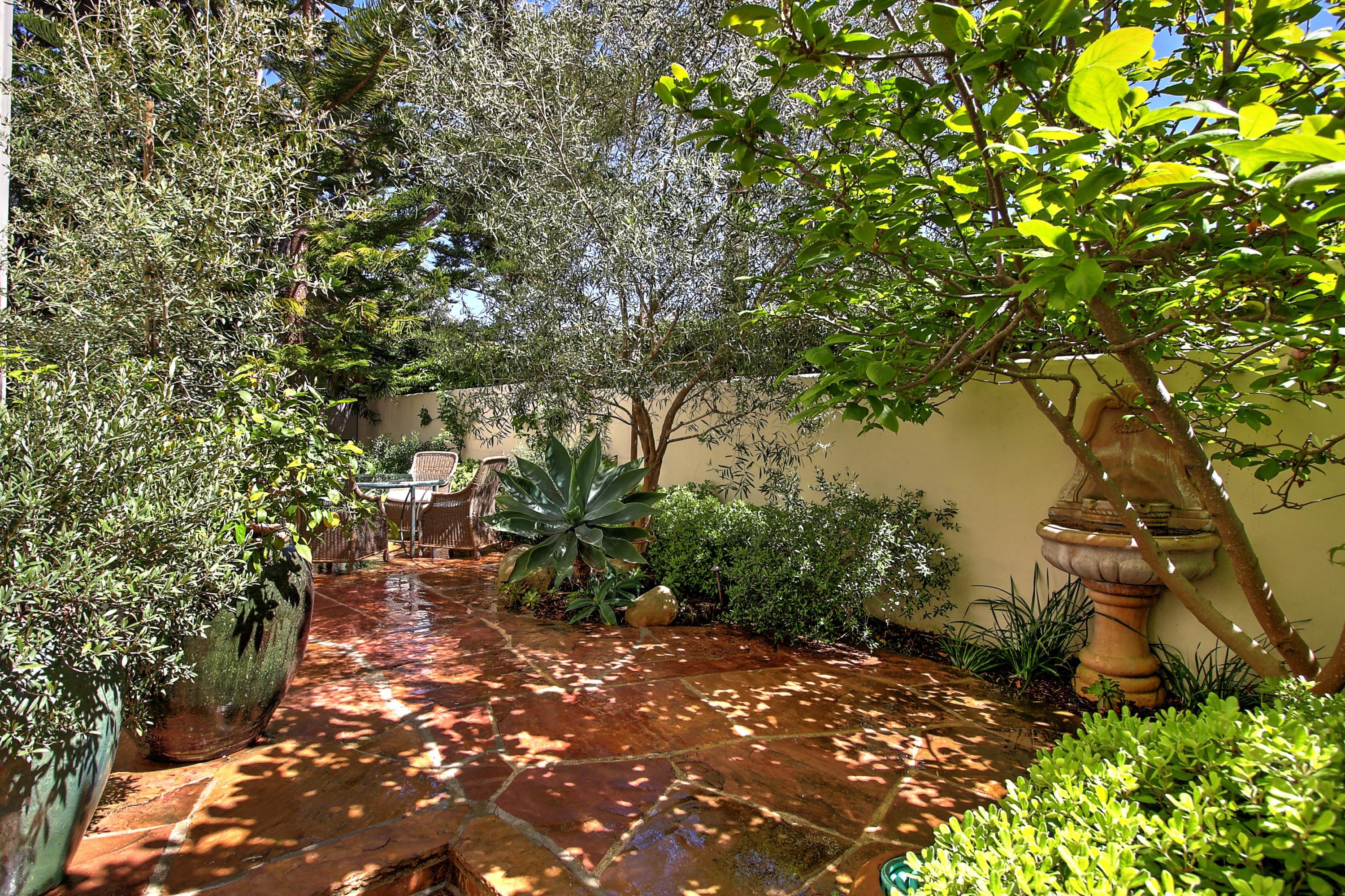 71 Olive Mill Road Montecito, CA 93108 - Photo 19 of 22 a picture of plants