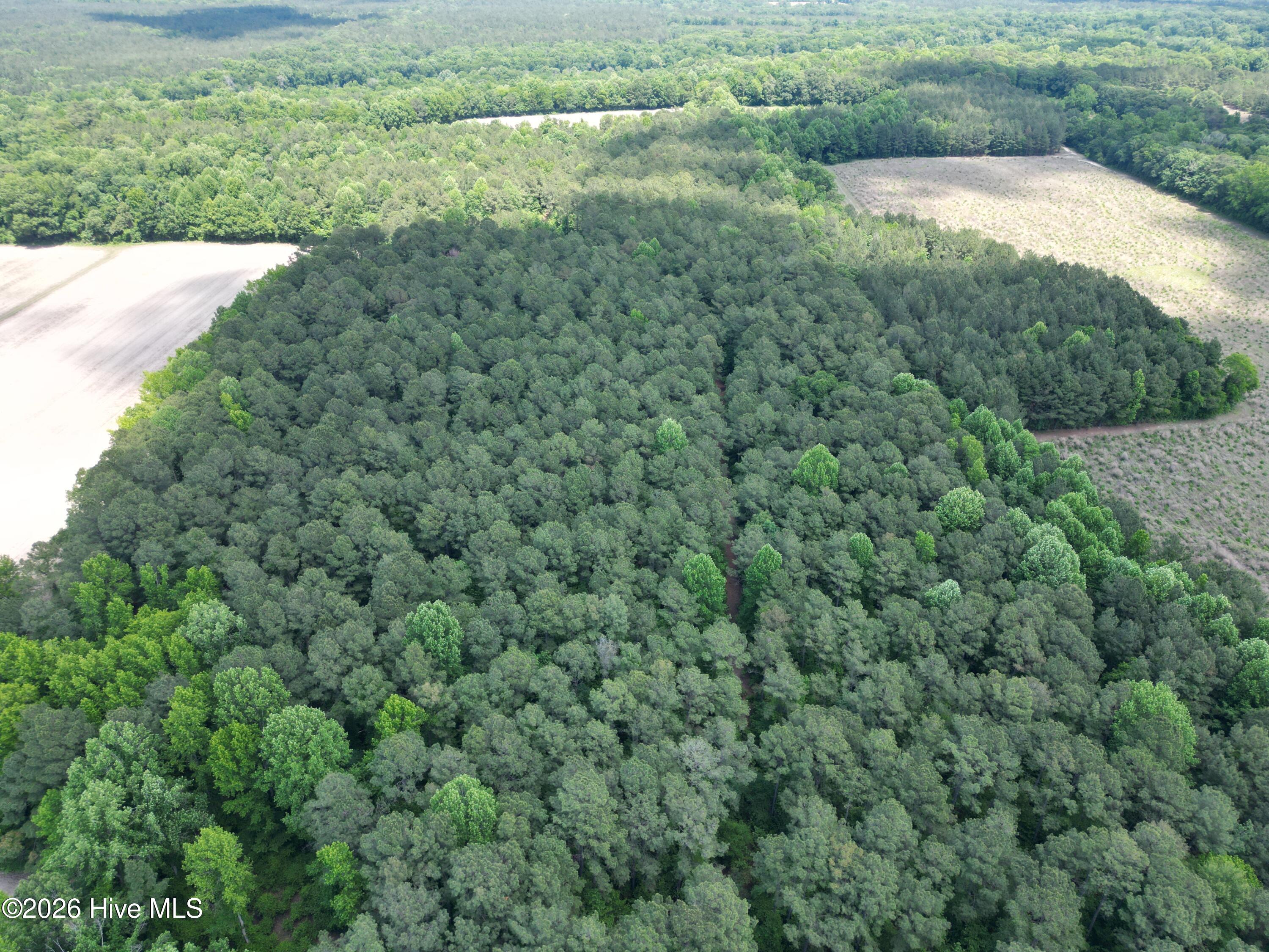1336 Owen Hill Road Elizabethtown, NC 28337 - Photo 8 of 10 DJI_0194