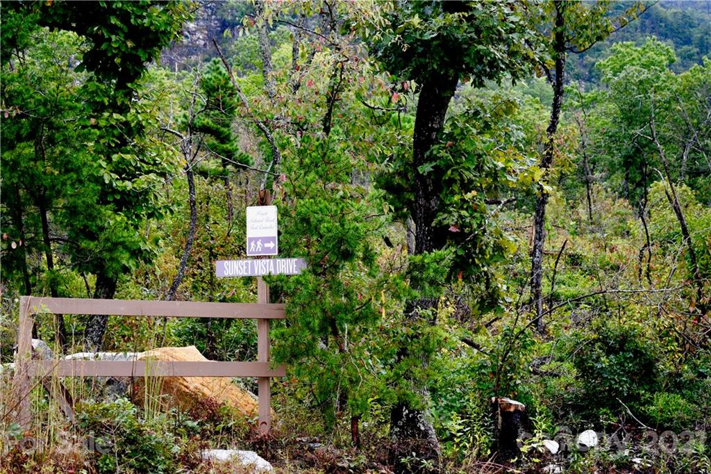 Lot 10 Dobsons Knob Loop Road, Unit 10 Marion, NC 28752 - Photo 12 of 21 a view of a back yard