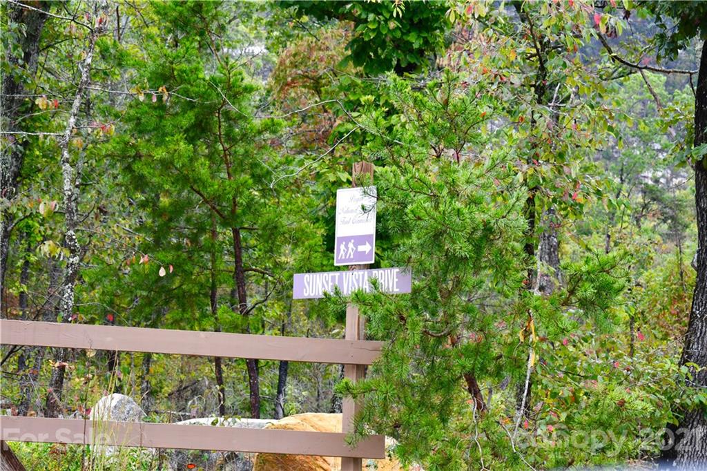 Lot 10 Dobsons Knob Loop Road, Unit 10 Marion, NC 28752 - Photo 13 of 21 a view of a yard