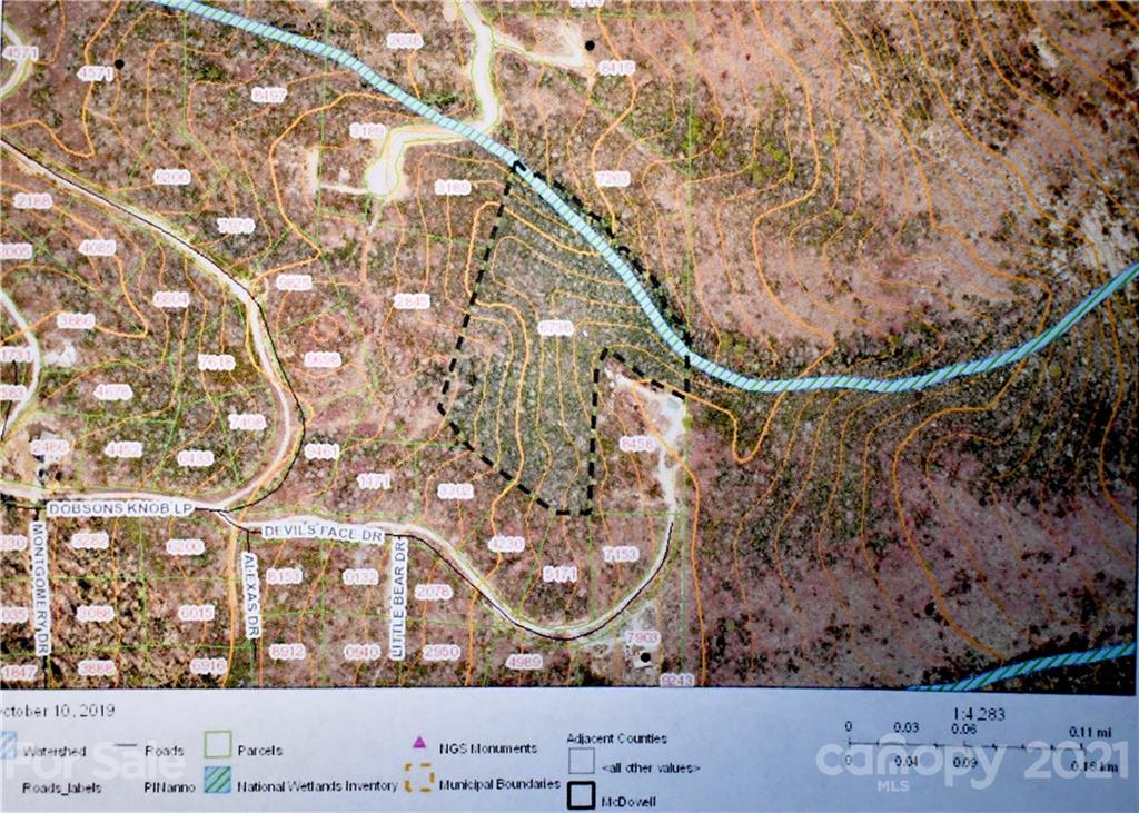 Lot 10 Dobsons Knob Loop Road, Unit 10 Marion, NC 28752 - Photo 17 of 21