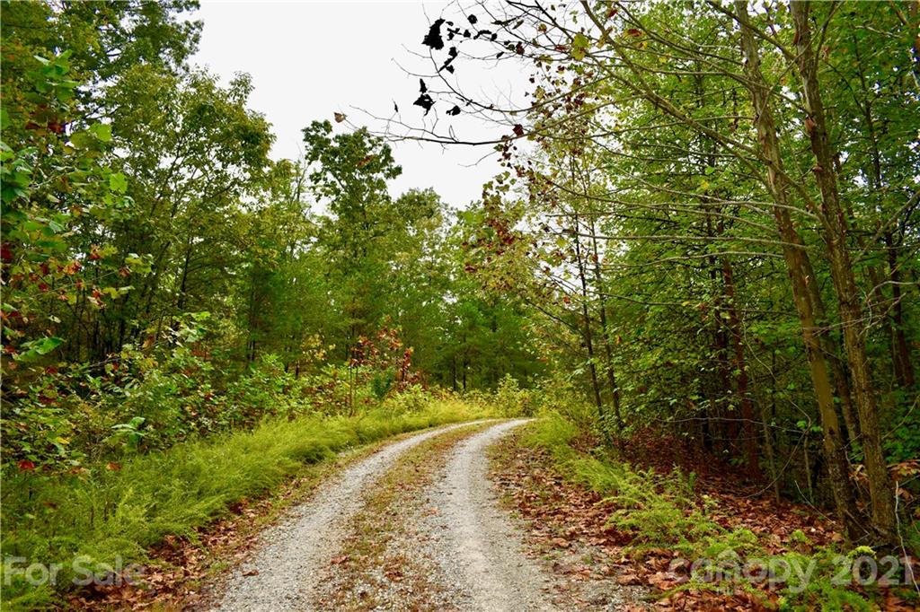 Lot 10 Dobsons Knob Loop Road, Unit 10 Marion, NC 28752 - Photo 5 of 21 a view of a yard with wooden fence