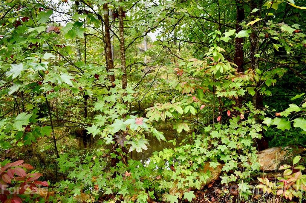Lot 10 Dobsons Knob Loop Road, Unit 10 Marion, NC 28752 - Photo 8 of 21 a view of a tree