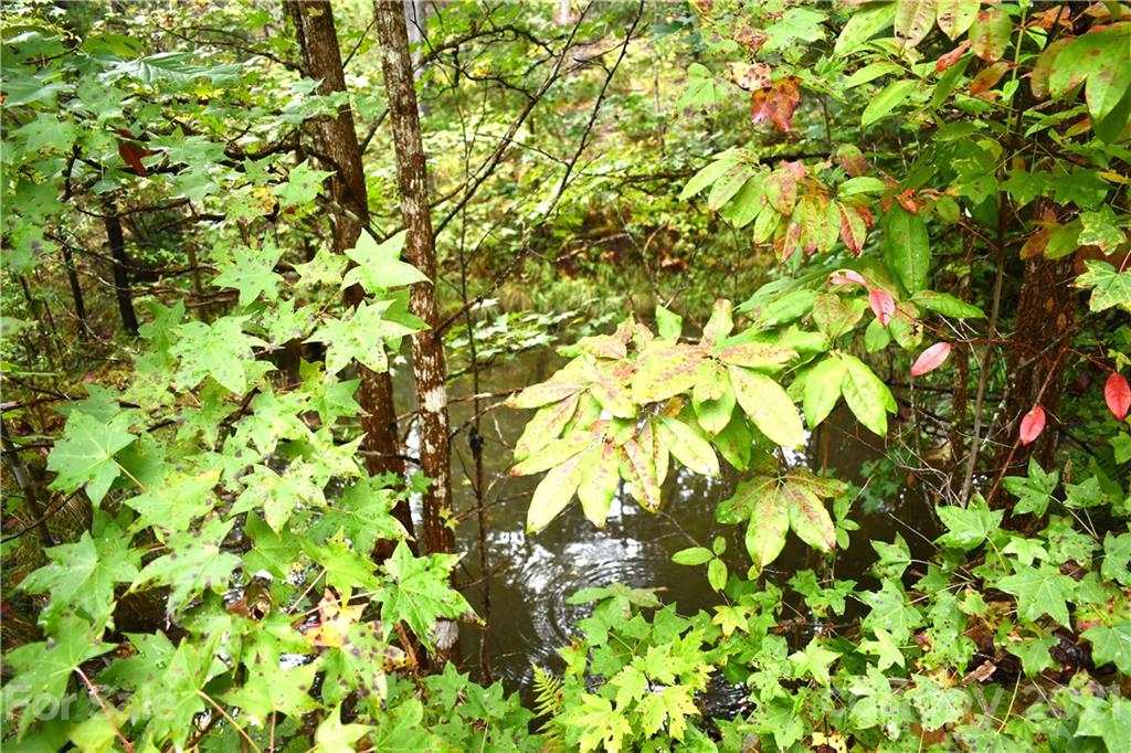 Lot 10 Dobsons Knob Loop Road, Unit 10 Marion, NC 28752 - Photo 9 of 21 a view of a tree