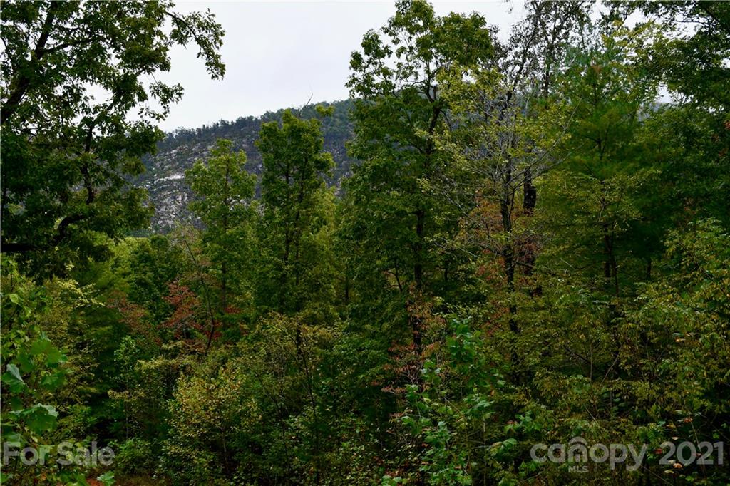Lot 10 Dobsons Knob Loop Road, Unit 10 Marion, NC 28752 - Photo 10 of 21 an aerial view of a house with a lush green forest