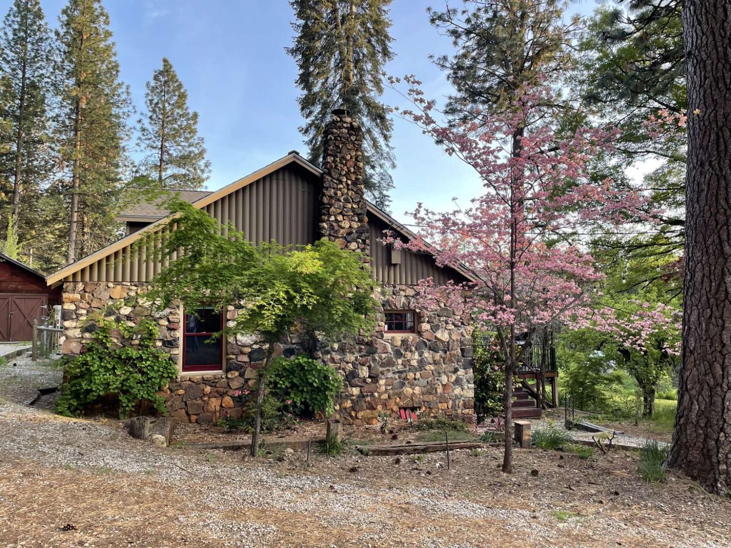 a view of a house with a tree and plants