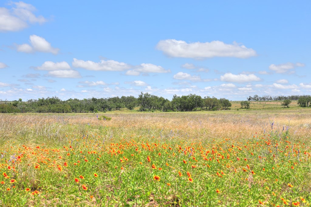 2600 Reservation Road Harper, TX 78631 - Photo 8 of 16