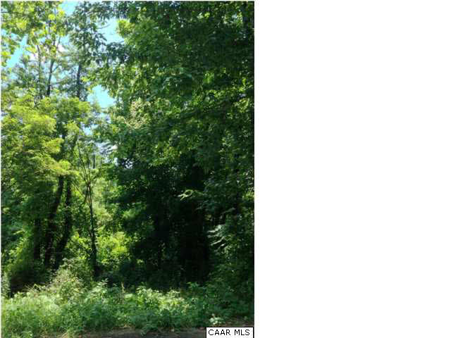 294 Riverside Avenue Charlottesville, VA 22902 - Photo 2 of 9 The lot is thickly wooded, allowing you to maintain privacy -