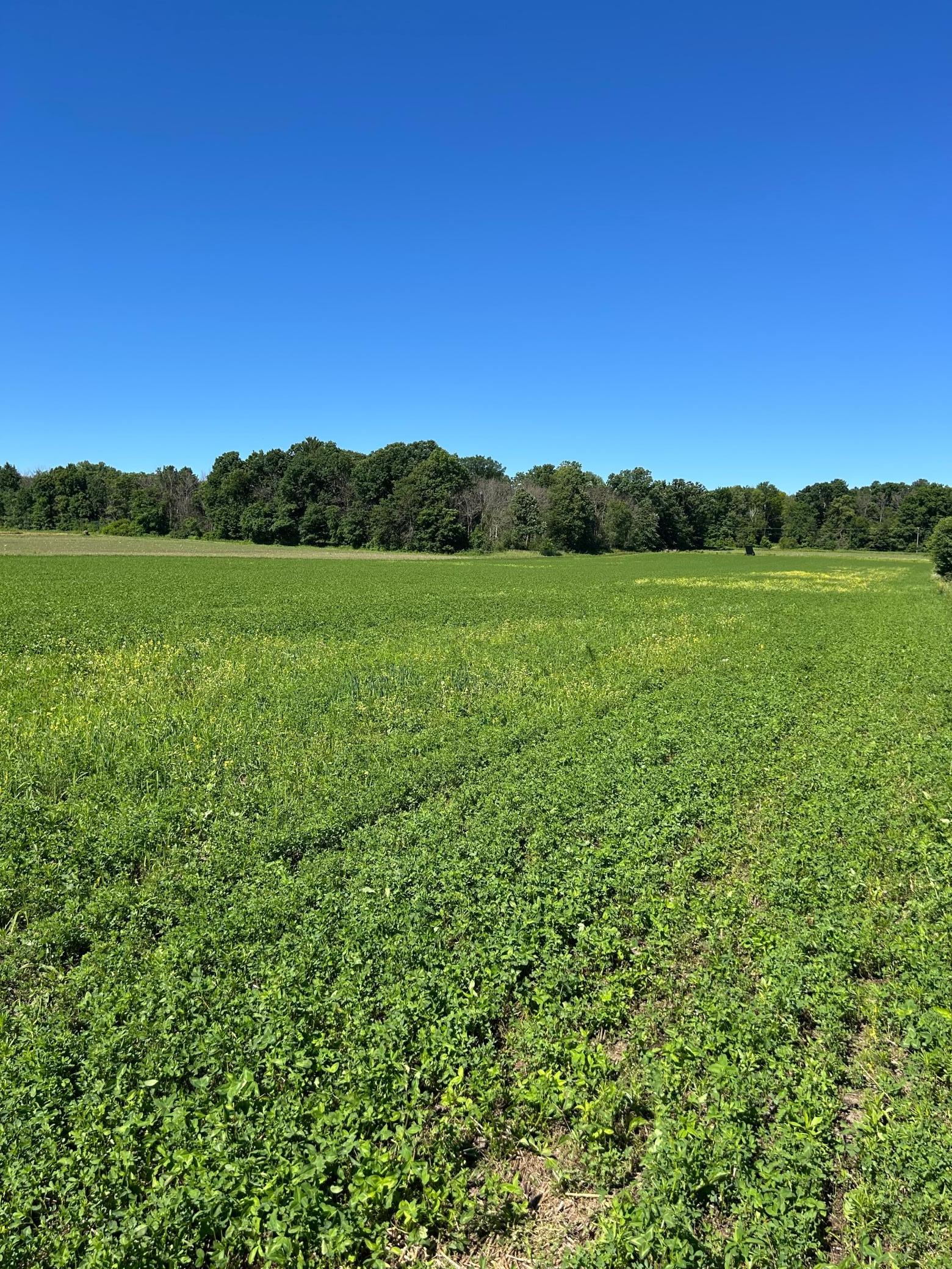 Tbd Tbd Old Cty Road Woodville, WI 54028 - Photo 9 of 30
