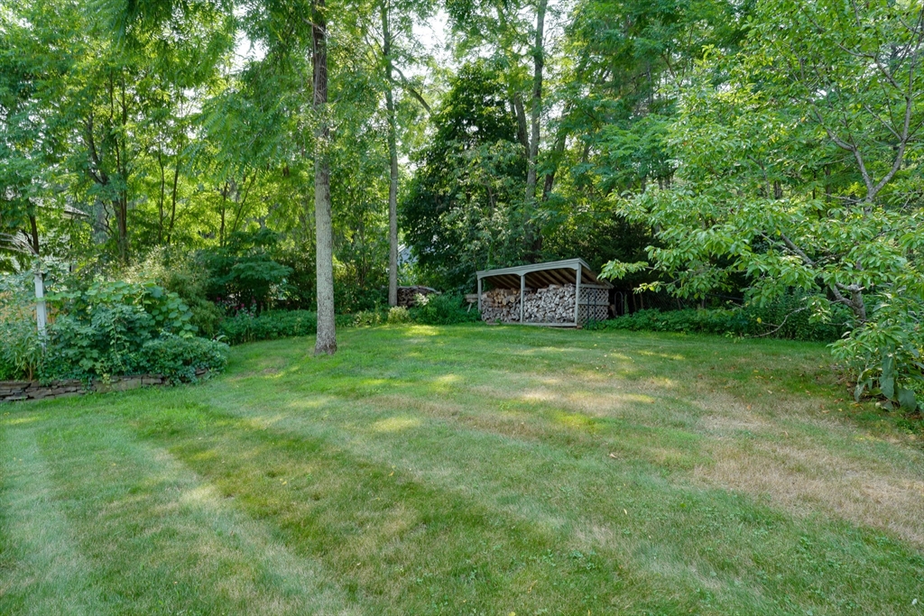 18 Harrington Road Framingham, MA 01701 - Photo 3 of 42