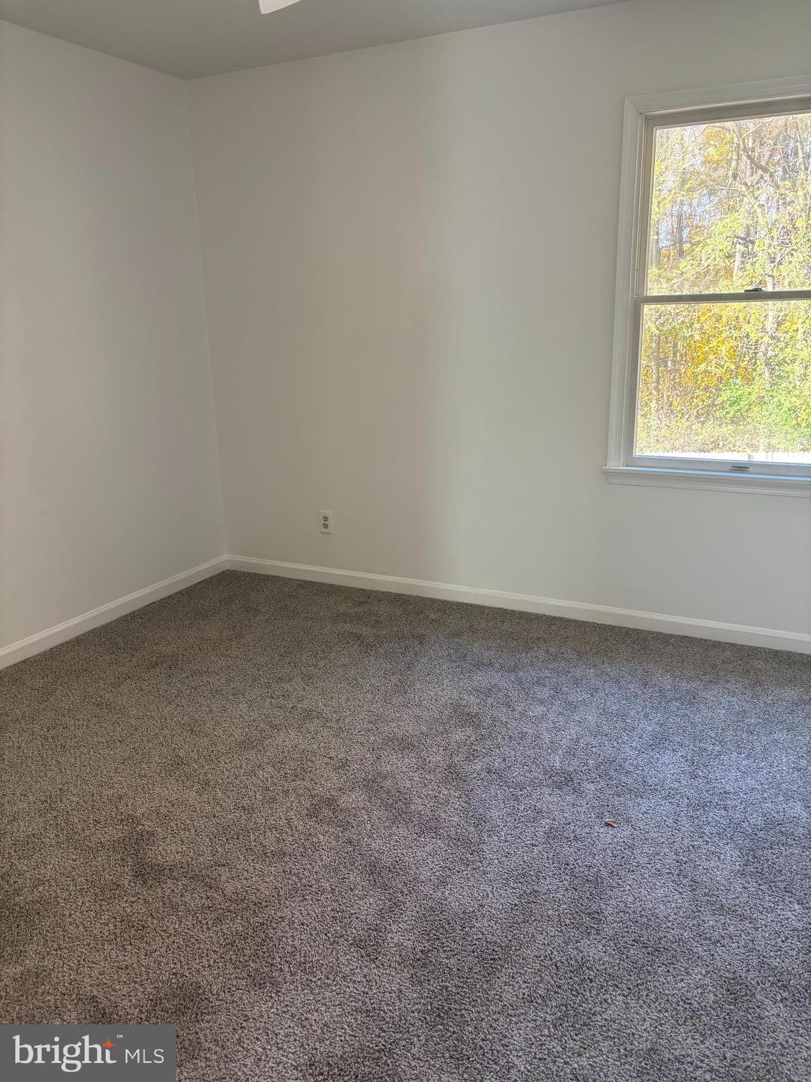 606 Gray Mt Circle Elkton, MD 21921 - Photo 8 of 13 an empty room with a window
