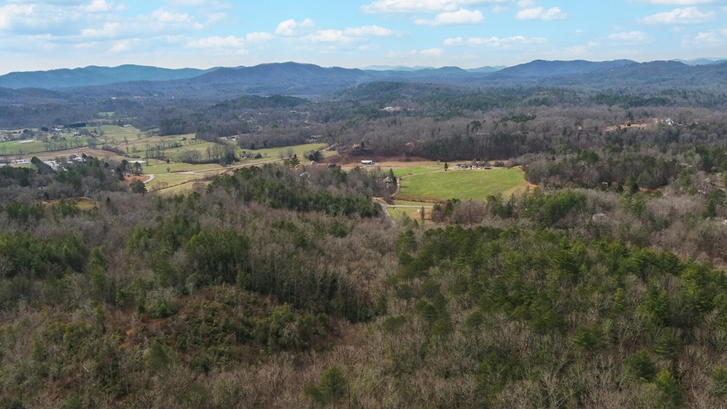 205 Goldie Garrett Road Marble, NC 28905 - Photo 54 of 60 Gallery Image 54