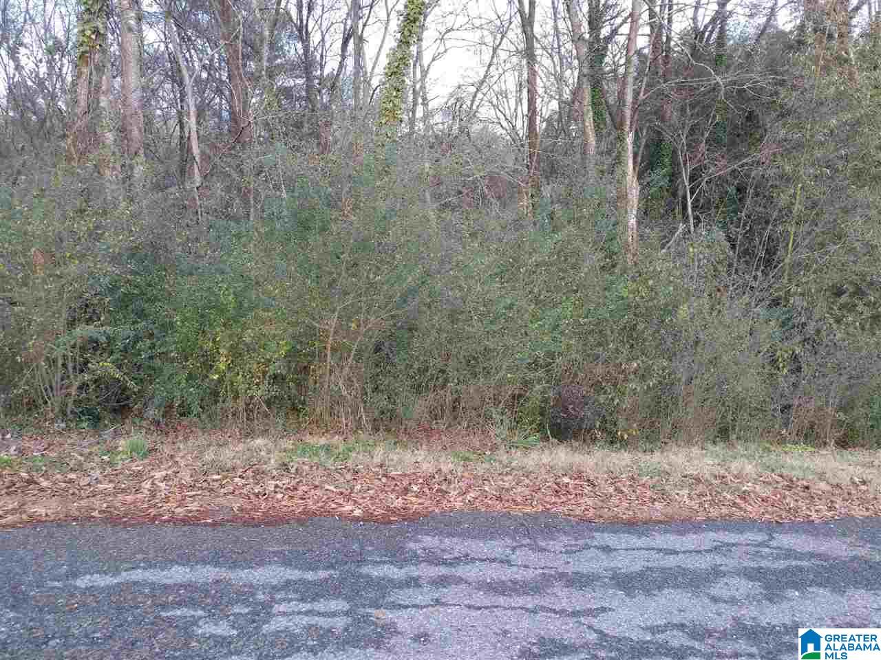0 Grove Street Springville, AL 35146 - Photo 1 of 3