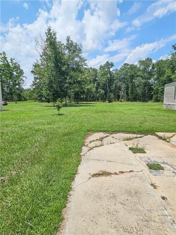 19479 Weinberger Road Ponchatoula, LA 70454 - Photo 13 of 13