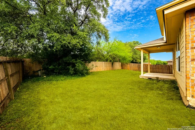 a view of a back yard