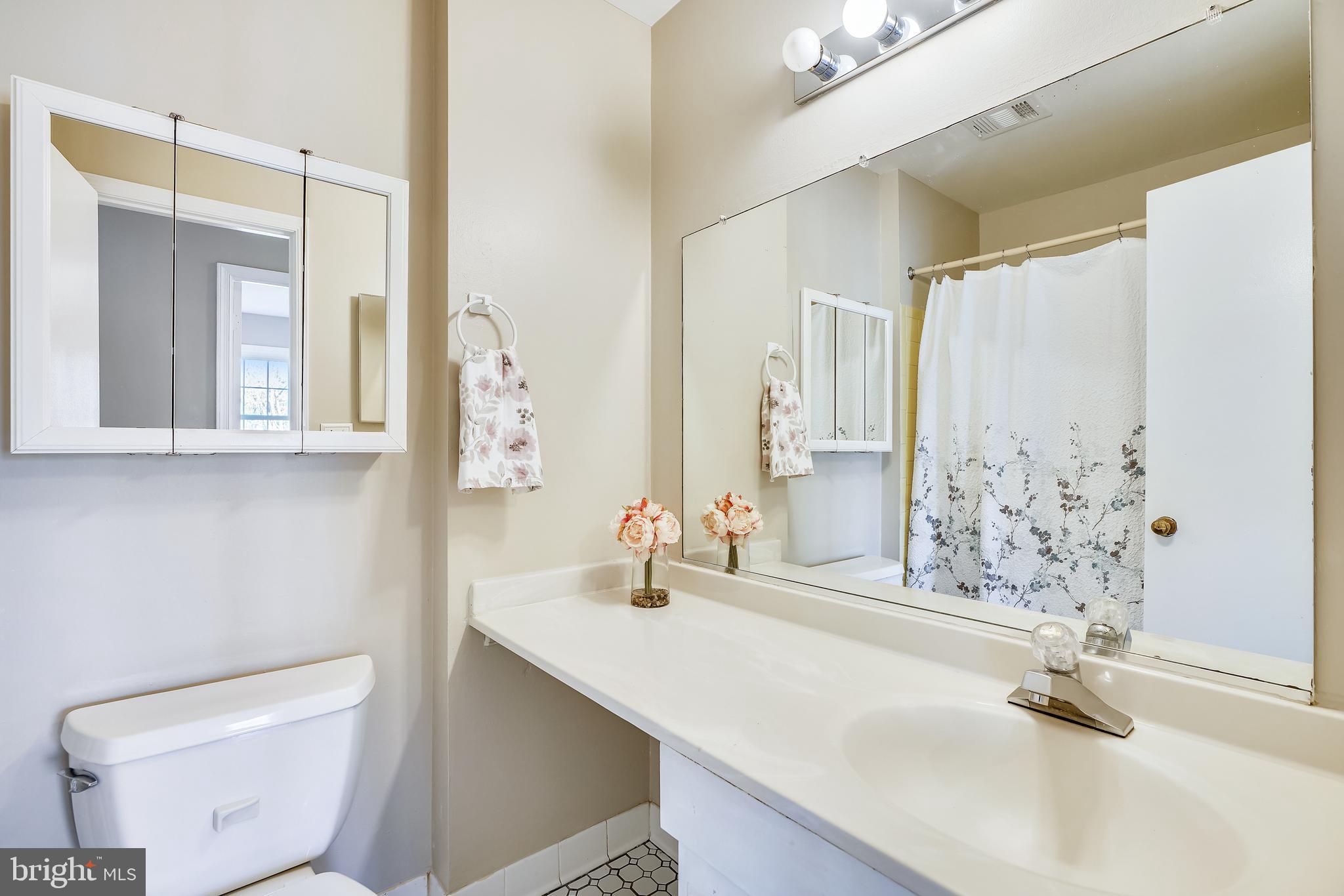 9354 Mellenbrook Road Columbia, MD 21045 - Photo 31 of 36 Hall bath