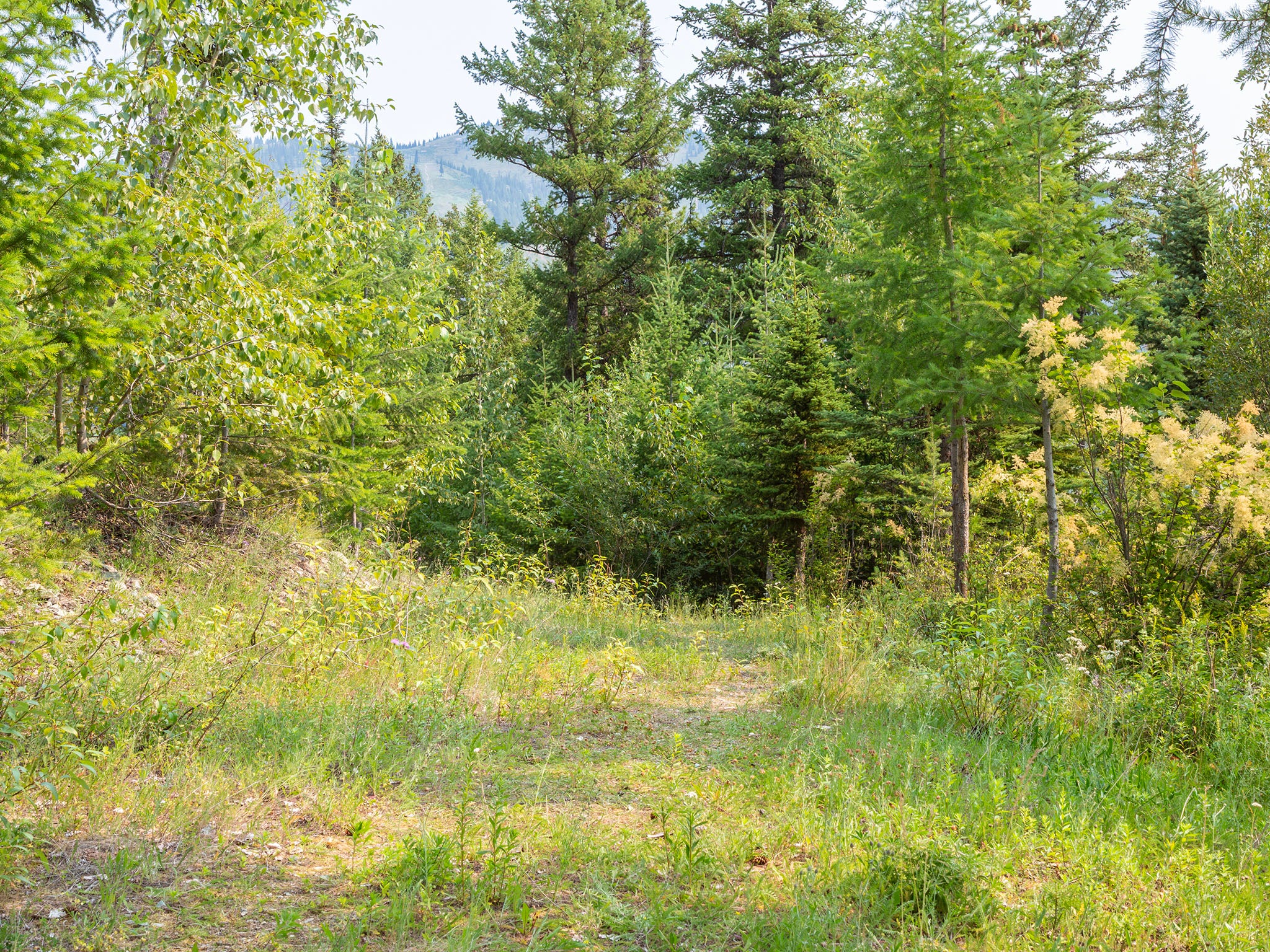 182 Ridge Run Drive Whitefish, MT 59937 - Photo 69 of 86 Gallery Image 69