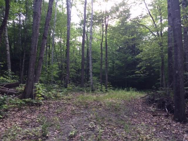 Lot 5 Burbank Hill Road Strong, ME 04983 - Photo 20 of 20 Photo
