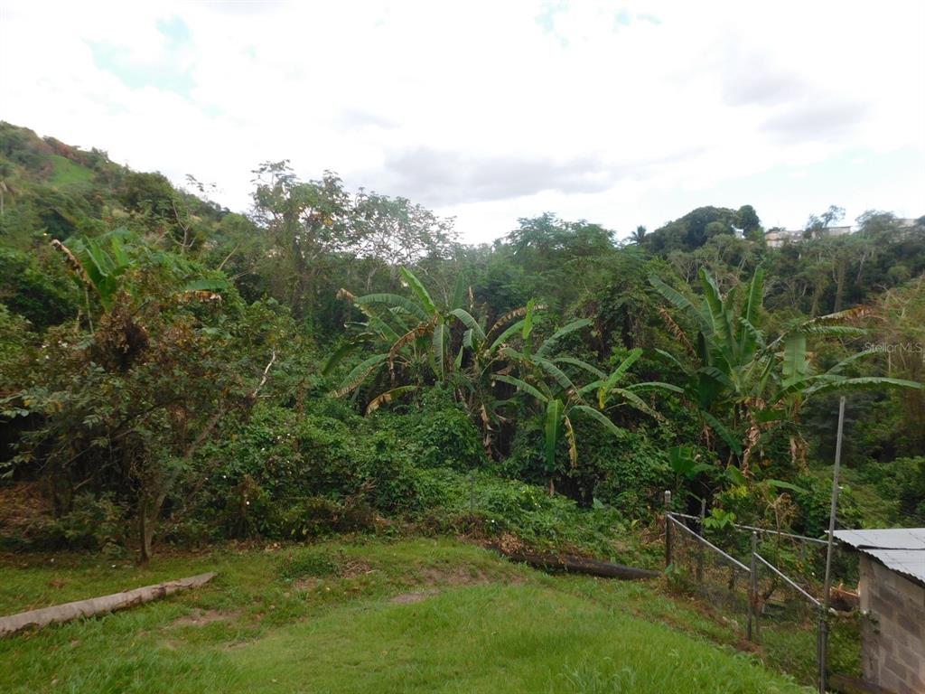 348 Km 5.3 Int Road Mayaguez, PR 00680 - Photo 1 of 1