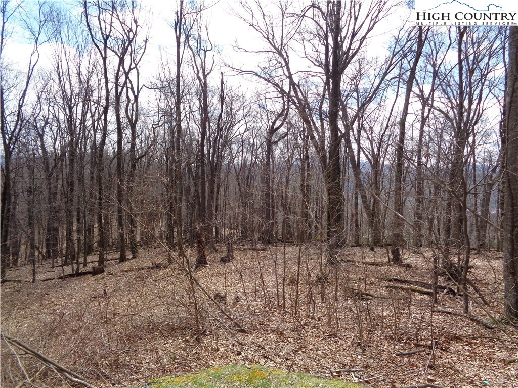 Lot 52 Lady Slipper Lane Boone, NC 28607 - Photo 2 of 6 Gallery Image 2