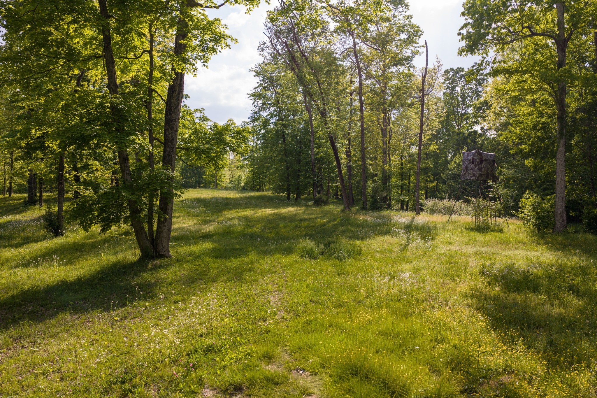 6415 Pinewood Road Nunnelly, TN 37137 - Photo 10 of 94 Gallery Image 10