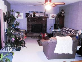2767 Bob Little Road Elizabethton, TN 37643 - Photo 3 of 12 living room with fireplace