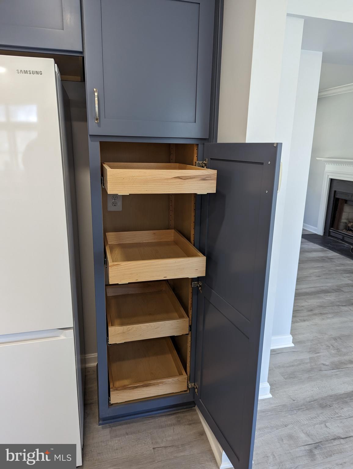 5627 Gunner Run Road Churchton, MD 20733 - Photo 23 of 81 Pull outs, soft close, dove tail custom cabinets