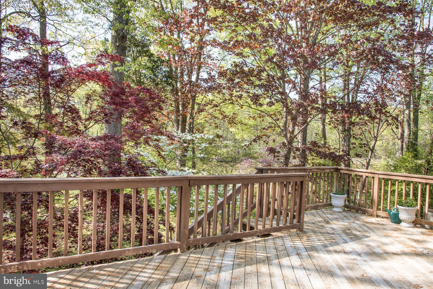 5627 Gunner Run Road Churchton, MD 20733 - Photo 50 of 81 Mature trees include Japanese Maples